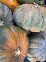 Close-up of a pile of several different gourds and pumpkins. The gourds and pumpkins vary in size,...