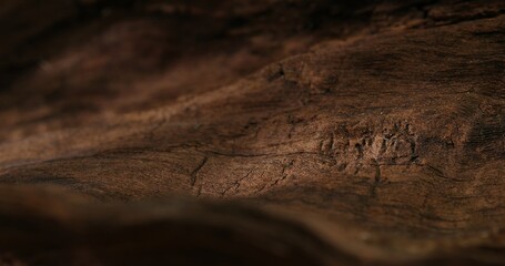Warmly Lit Wooden Grain Texture. Close-up, shallow dof.