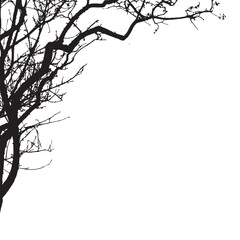 tree silhouette 1