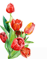 Red tulips pattern. Image on a white and colored background. - 786018564