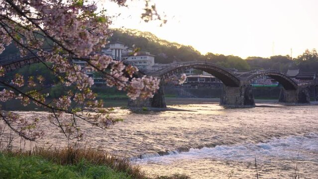 Spring in Japan Establishing Shot of Iwakuni Kintai Bridge, Yamaguchi Prefecture