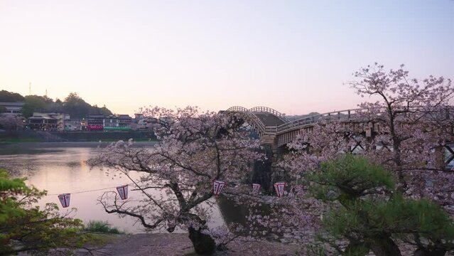 Spring in Japan, Sunrise over Kintaikyo and Sakura at Dawn, 4k Pan Shot