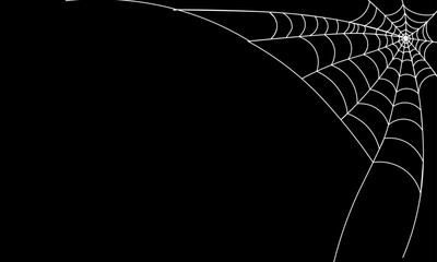 Single Drawing line of spider web animation isolated on black Background. Corner Spider Cobweb Formation