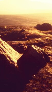 Green meadow on the background of the mountains