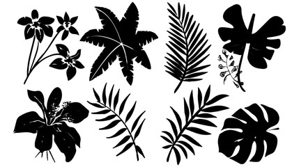 Fototapeta na wymiar Set of black silhouettes of leaves and flowers. Vector illustration. 
