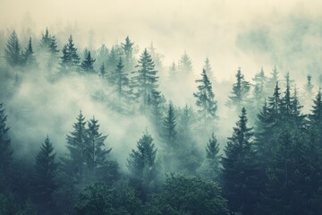 Misty landscape with a foggy fir forest. AI generative