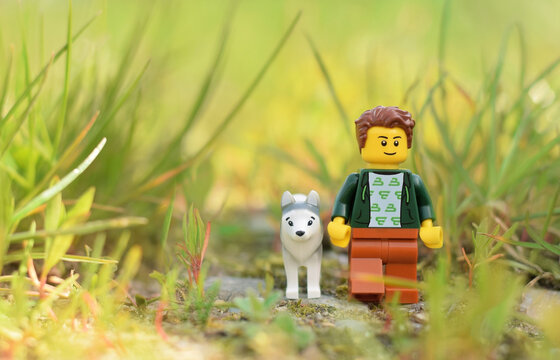 Lego minifigures happy boy with dog are walking in the natural green grass. Editorial illustrative image of popular plastic toy.
