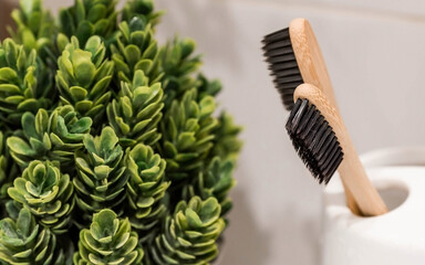 Modern bathroom interior. Panoramic view of eco-friendly wooden oral brushes and green plants. Decor, bathroom details.