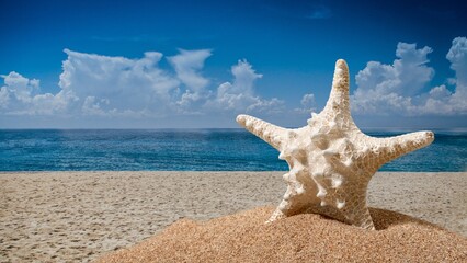 Blue Summer Sea Beach Starfish Landscapes Background wallpaper 