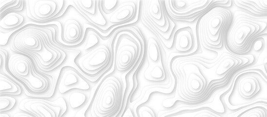 Fototapeta premium Abstract White paper cut background with lines.3d realistic papercut decoration textured with wavy layers. modern wallpaper texture and 3d realistic design use for banner flyers, posters. 