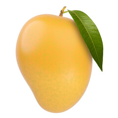 Fresh Alphonso mango fruit with stem and leaf isolated white background.