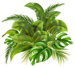Realistic jungle composition with tropical leaves - 786051162