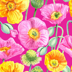 Seamless pattern of pink and yellow poppy flowers painted with watercolours on a pink background. Botanical collection of garden and wild plants. For fabric, sketchbook, wallpaper, wrapping paper.