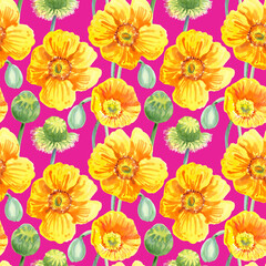 Seamless pattern of yellow poppy flowers painted with watercolours on a pink background. Botanical collection of garden and wild plants. For fabric, sketchbook, wallpaper, wrapping paper