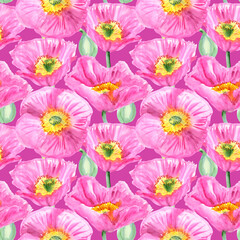 Seamless pattern of pink poppy flowers painted with watercolours on a pink background. Botanical collection of garden and wild plants. For fabric, sketchbook, wallpaper, wrapping paper.