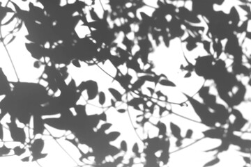 plant Background image pattern

