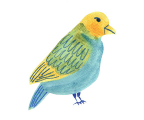 the colony of dreamy birds