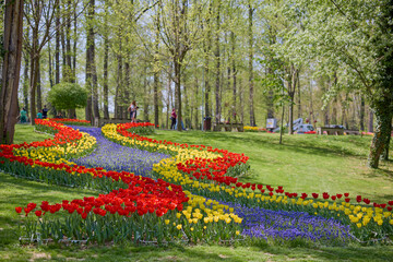 beautiful landscape in the park, arrangement with tulips in spring.