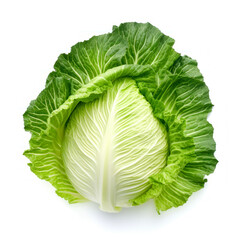 Fototapeta premium Fresh green chinese cabbage isolated on white background. Top view.