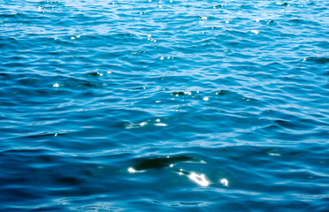 Blue sea water background texture - 786069733