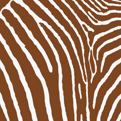 Zebra print pattern animal seamless. Zebra skin abstract for printing, cutting, crafts, stickers, web, cover, cover page, wallpaper and more.