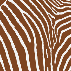 Zebra print pattern animal seamless. Zebra skin abstract for printing, cutting, crafts, stickers, web, cover, cover page, wallpaper and more.