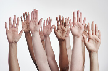Group, people and hands in studio with vote for human rights, gender equality or members with support. Collaboration, community or campaign for abortion laws or protest for change on white background - obrazy, fototapety, plakaty