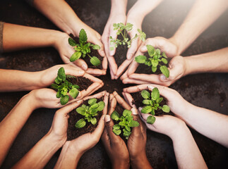 Group, soil and hands with leaves in circle for sustainable, agriculture and eco friendly...