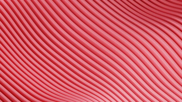 Crimson Rhythms: The Pulse of Parallel Lines