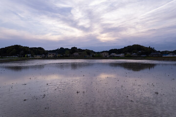 夕方の水田_空撮_ドローン_シルエット