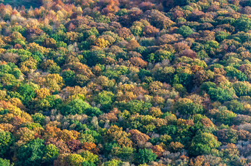 vue aérienne d'une forêt à l'automne dans les Yvelines en France - 786081714