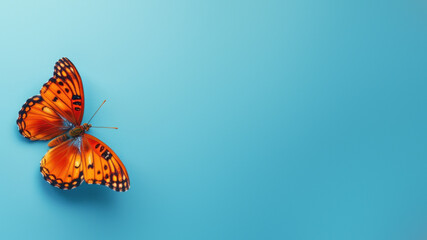 A vivacious butterfly with polka-dotted wings alive with color, poised on a sky-blue background,...