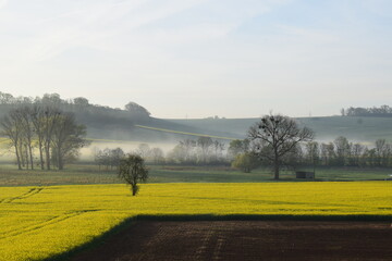 low fog on swampland with yellow hills around