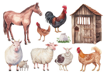Animals meet types watercolor illustrations set, hand drawn illustrations of cow, chicken, pig, sheep, goat and duck. Domestic farm animals isolated on white background, vector illustrations