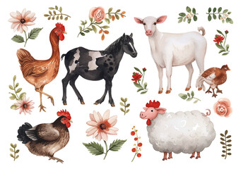 Animals meet types watercolor illustrations set, hand drawn illustrations of cow, chicken, pig, sheep, goat and duck. Domestic farm animals isolated on white background, vector illustrations