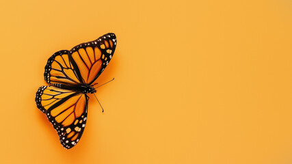 Beautiful Monarch Butterfly captured in its essence on a plain orange backdrop highlighting its...