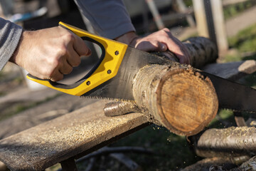 Man sawing handsaw old tree. Man at work. Male hand with a saw
