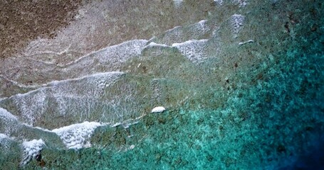 Top view of turquoise algal sea water meeting the sandy beach