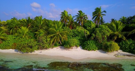 Aerial drone view of a beautiful tropical island with seaweed and palm trees on a sandy beach
