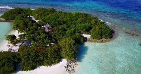 Aerial drone view of a beautiful tropical island with palm trees on a sandy beach