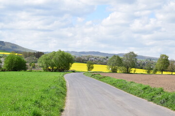 country road through yellow blooming fields in springtime