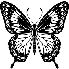     Butterfly vector illustration.
