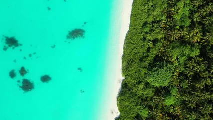 Foto auf Leinwand Aerial view of the beautiful turquoise ocean in the Maldives © Wirestock