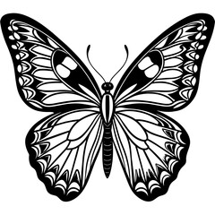     Butterfly vector illustration.
