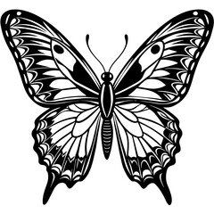     Butterfly vector illustration.
