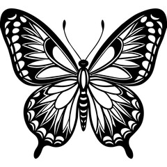     Butterfly vector illustration.
