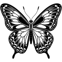     Butterfly vector illustration.
