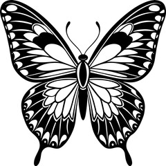     Butterfly vector illustration.

