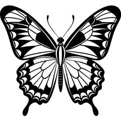     Butterfly vector illustration.
