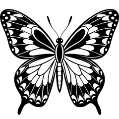     Butterfly vector illustration.
